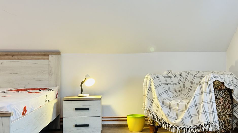 Apartament spatios cu 2 camere, in Vila apartamentata - Take Ionescu - Poză 10