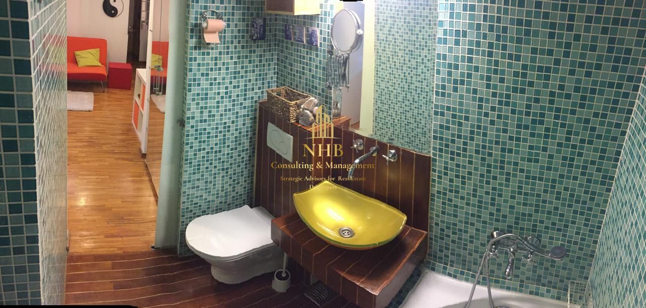 2 camere, Aviator Popisteanu, Agronomia, Domenii - Poză 4