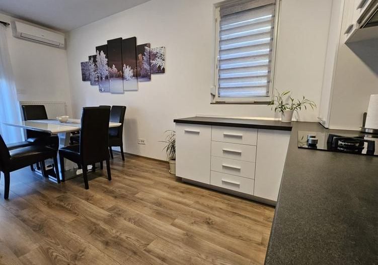 Apartament 2 camere zona Calea Torontalului - Poză 15