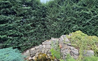 Casa individuala cu teren de 354 mp. - Poză 3