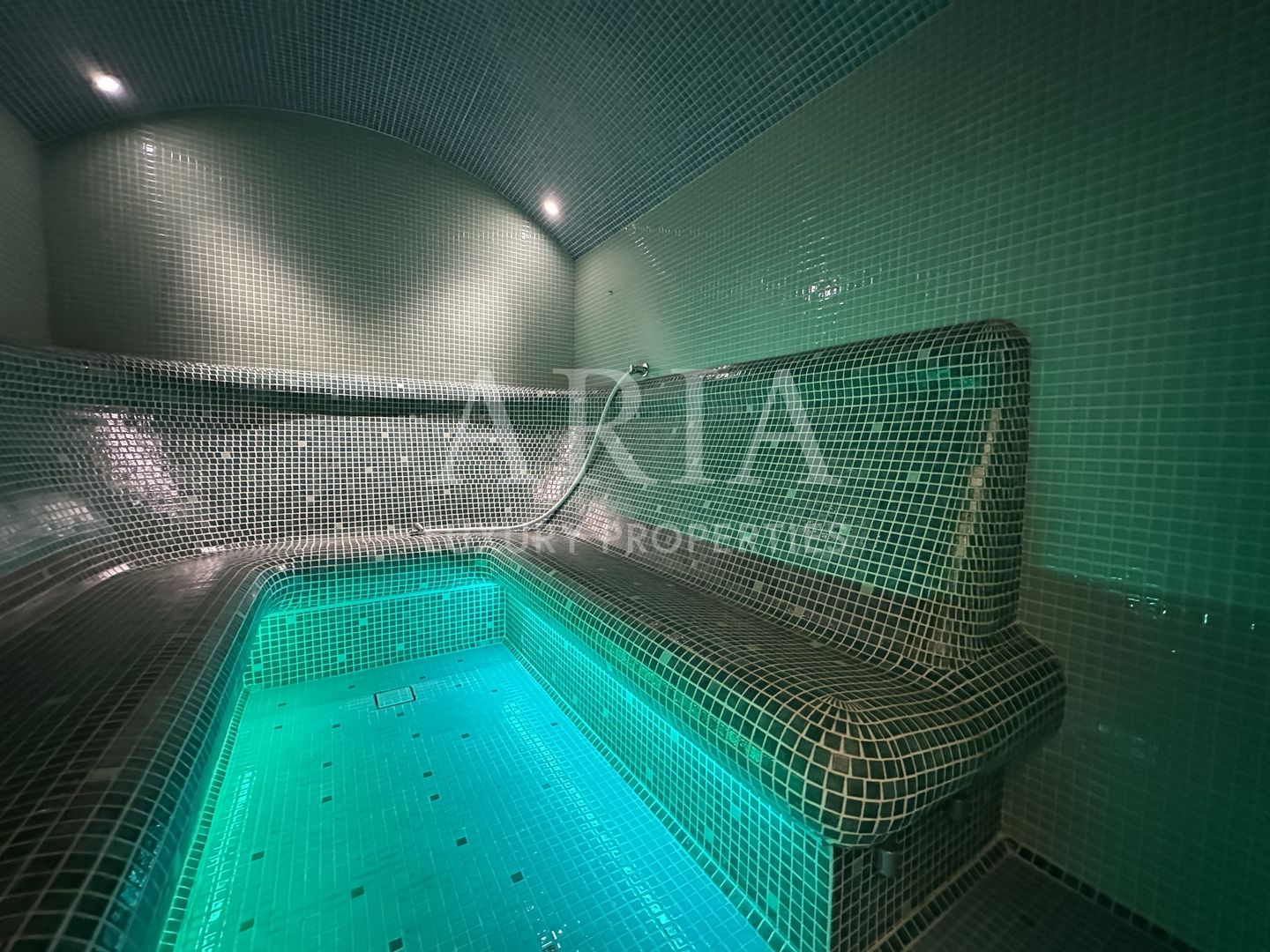SNAGOV VILA | 36m DESCHIDERE LA LAC | PONTON 250mp | JACUZZI | SPA | BOWLING - Poză 8