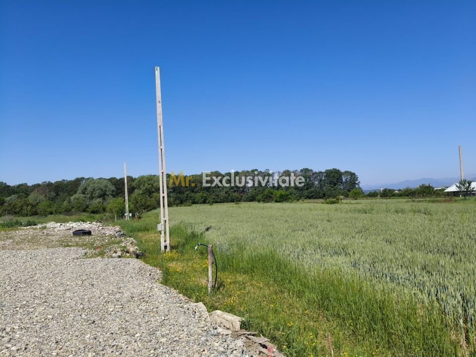 Teren 10.294 mp de vânzare Târgu Jiu | Intravilan + Extravilan | Utilități - Poză 6