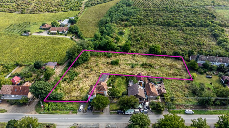 Teren de vis în Ghioroc! Stațiunea supranumită ”Litoralul Vestului” - Poză 6