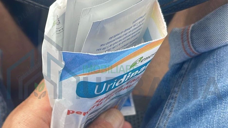 Casă triplex în Horpaz, Miroslava - mobilată sau nemobilată, parcare privată - Poză 5