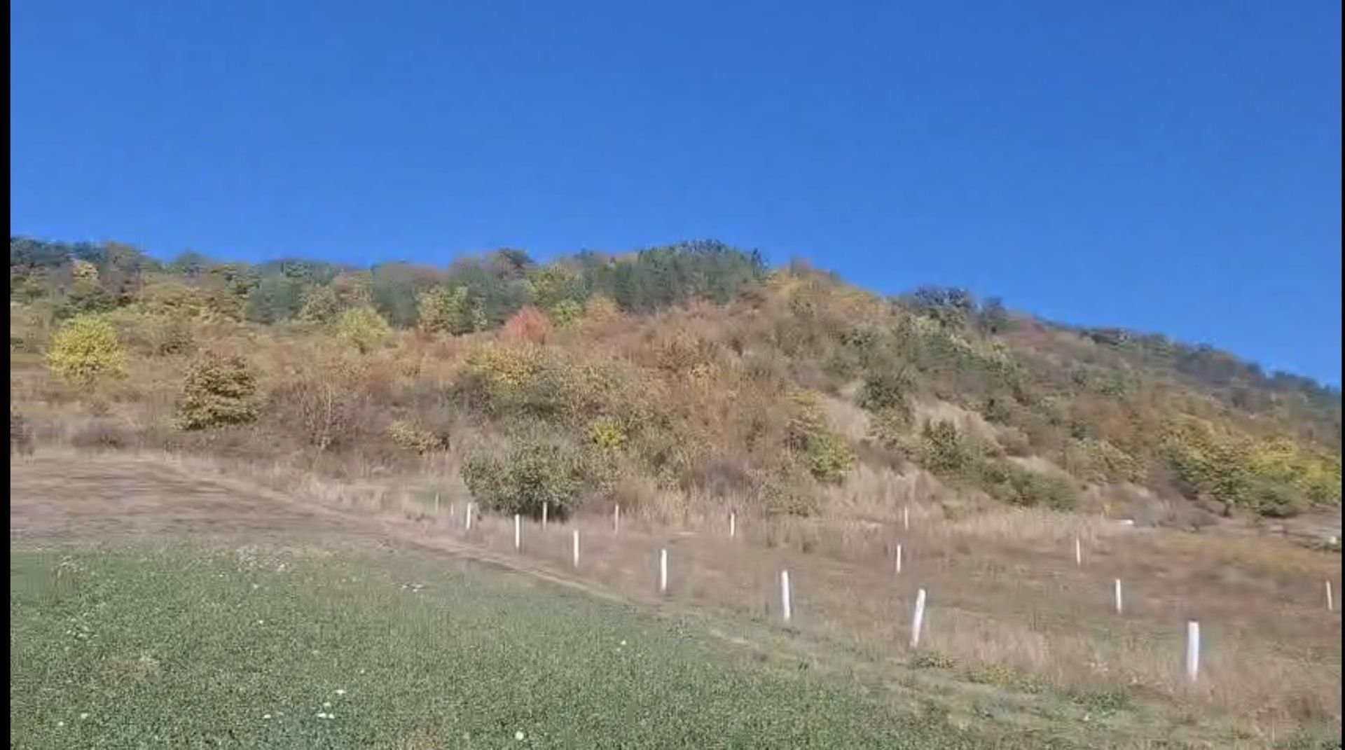 Teren de vanzare in Corunca –5.000 mp /55.000 EUR - Poză 2