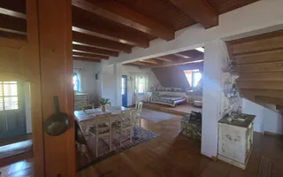 Vilă elegantă și casă independentă pentru oaspeți - Banesti - Poză 20
