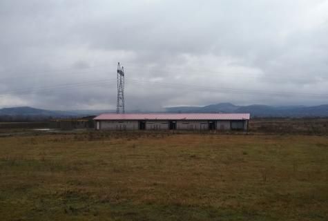 spațiu industrial Sacalaseni judet Maramures - Poză 2