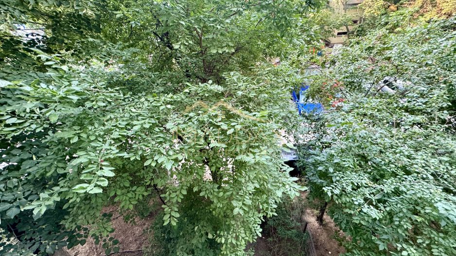 Apartament cu 3 camere // Zona Tei - Doamna Ghica - Poză 5