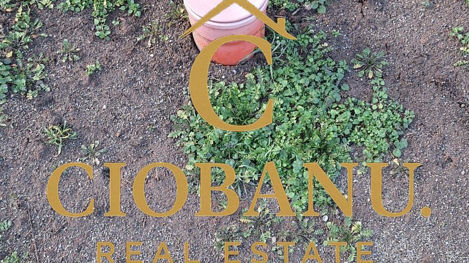 Casa de vanzare zona Damila-Capsunarie - Poză 11