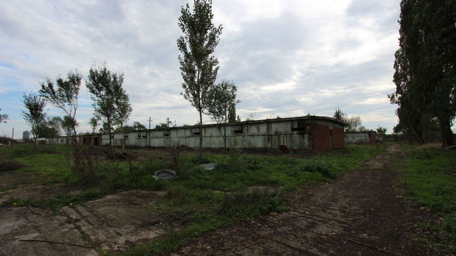 Vanzare hale Mosnita Noua-fosta Ferma 7 - Poză 25