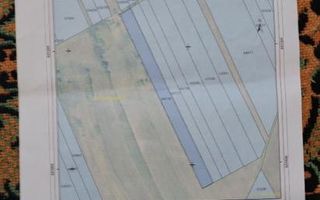 Teren extravilan de vanzare in Aroneanu, Iasi - 6.664 mp - Poză 1