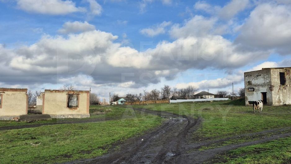 Vânzare, teren agricol, 222 ari, str. Mircea Cel Bun, Drochia - Poză 1