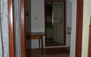 CASĂ TRADIȚIONALĂ CU GRĂDINĂ GENEROASĂ ȘI VIE – ISACCEA, JUD. TULCEA - Poză 8