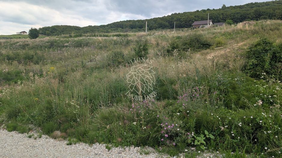 Teren 1000 mp cu utilitati-ideal casa, cabana, investitie-Dealul Jelnei - Poză 1