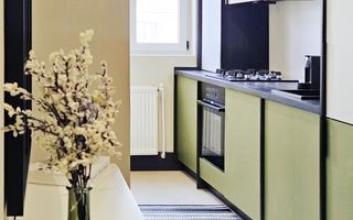 Apartament 2 camere decomandat Parcul Copou - Poză 22