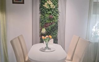 Apartament 3 camere, 60 mp, Vișani, lângă Castelul Grecilor, zonă liniștită - Poză 4