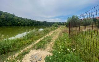 Teren Intravilan de vanzare 3778 mp Branesti Strada Violetelor - Poză 8