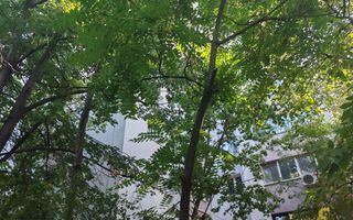 Apartament  Drumul Taberei - Favorit  ( Liceul Grigore Moisil ) - Poză 19