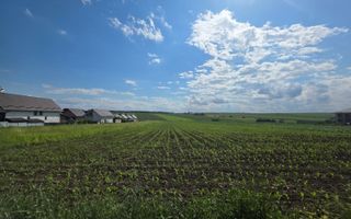 Teren intravilan 5.000 mp | Sfântul Ilie – UAT Șcheia | 425.000 € - Poză 1