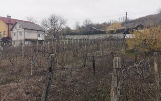 De vanzare casa in Argetoaia cu teren 7.000 mp - Poză 6