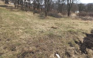 Teren intravilan 1953 mp utilitati- 4800 E/ ar Zona Valea Sigmirului - Poză 3