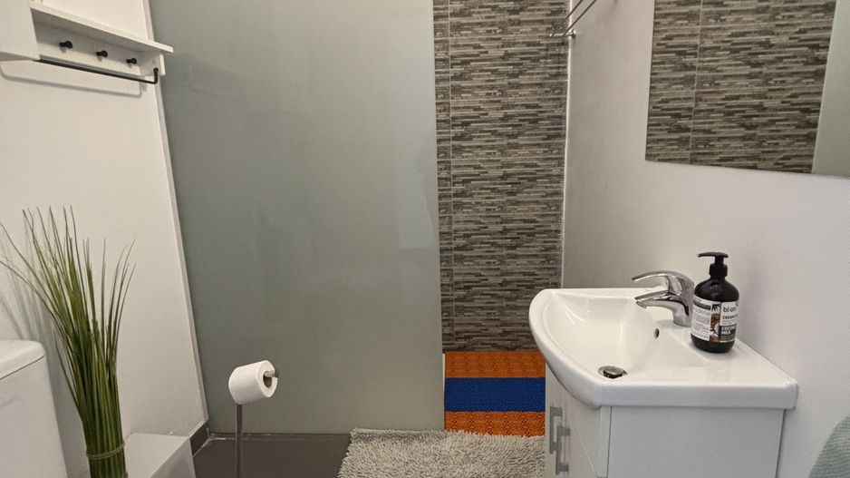 Apartament cu o camera în clădire istorică ,zona Maria - Poză 7