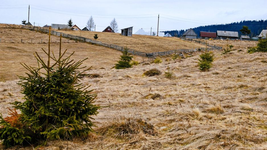 3149 MP in Statiunea Turistica Montana, Belis - Cluj, VEDERE LA LAC - Poză 5