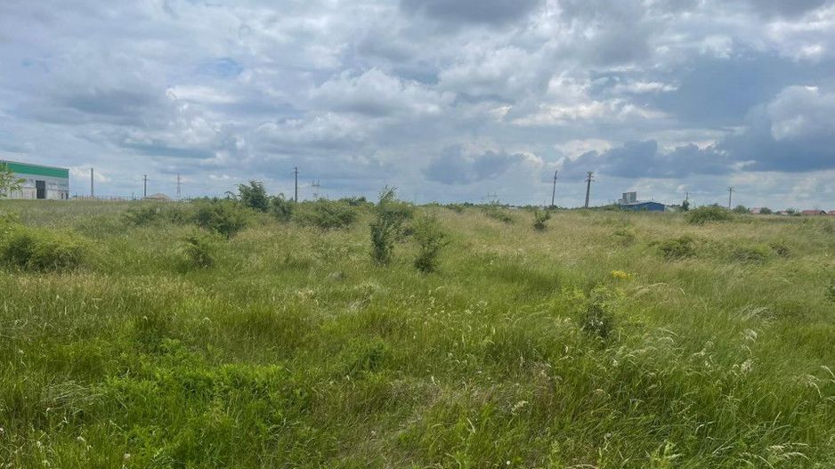 AZURA Imobiliare Pitesti - Teren de Vanzare Albota - Poză 5