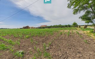 Teren extravilan 5000 mp, Arad - Poză 6