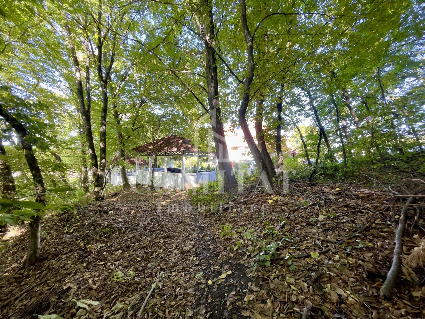 Teren pentru construcție casă cartier Făget - Poză 4