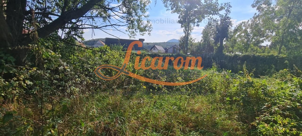 Casa individuala cu 3 camere,CODLEA - DUMBRAVITA ,65000 euro - Poză 8