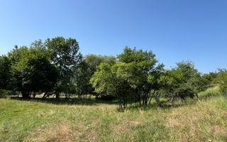 Teren de vânzare Cisnădioara - Poză 8