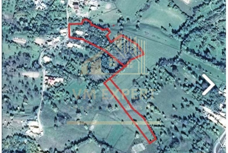 CASA 3 CAMERE, TEREN 7500 MP, VALEA MARE PRAVAT, ARGES - Poză 6