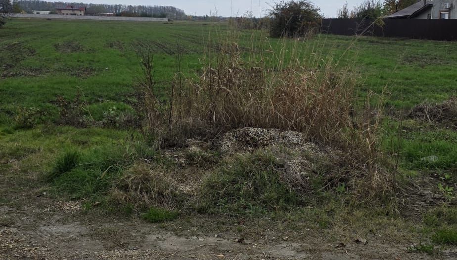 1 DECEMBRIE - TEREN 2500 MP - Poză 3