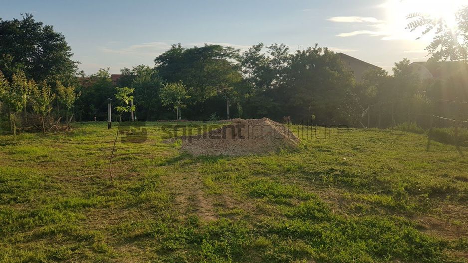 SAPIENT/TEREN INTRAVILAN 600 MP CU ANEXE ȘI PIVNITE - EPISCOPIA - Poză 9