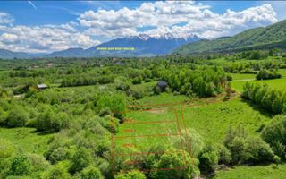 Teren intravilan 500 mp sau 1000 mp în Zarnesti –Tohanita incepand cu 17500 euro - Poză 3