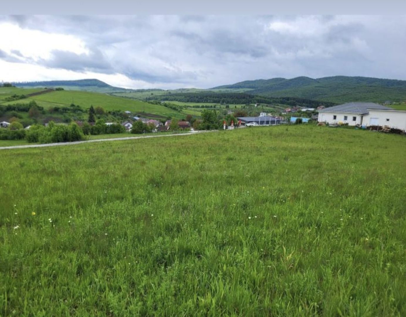 Teren de vânzare intravilan ➡️ Sigmir - Poză 1