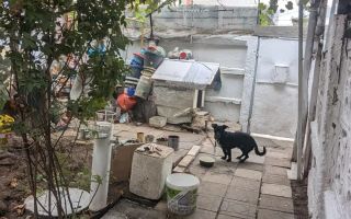 De vanzare casa + curte 197mp, zona Salaj - Poză 7