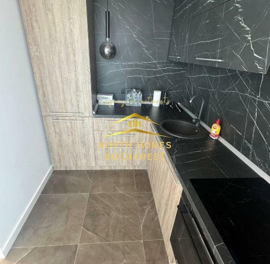 2 Cam One Herastrau Towers - Poză 12