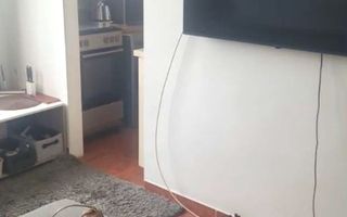 Garsoniera Crinul de Padure, Parc Drumul Taberei - Poză 2