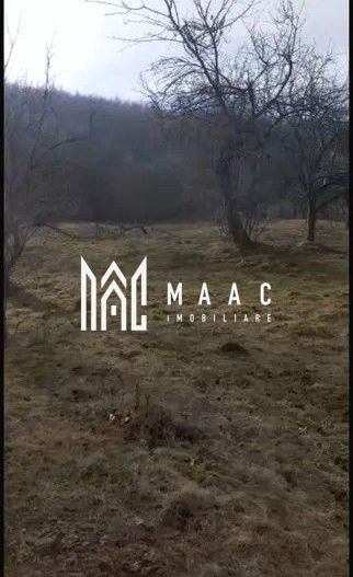 Teren | Rășinari | Trainei | 3139 Mp | - Poză 2