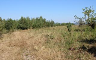 TEREN 4500 MP I FANEATA I PARC FOTOVOLTAIC I ARPASUL DE SUS - Poză 5