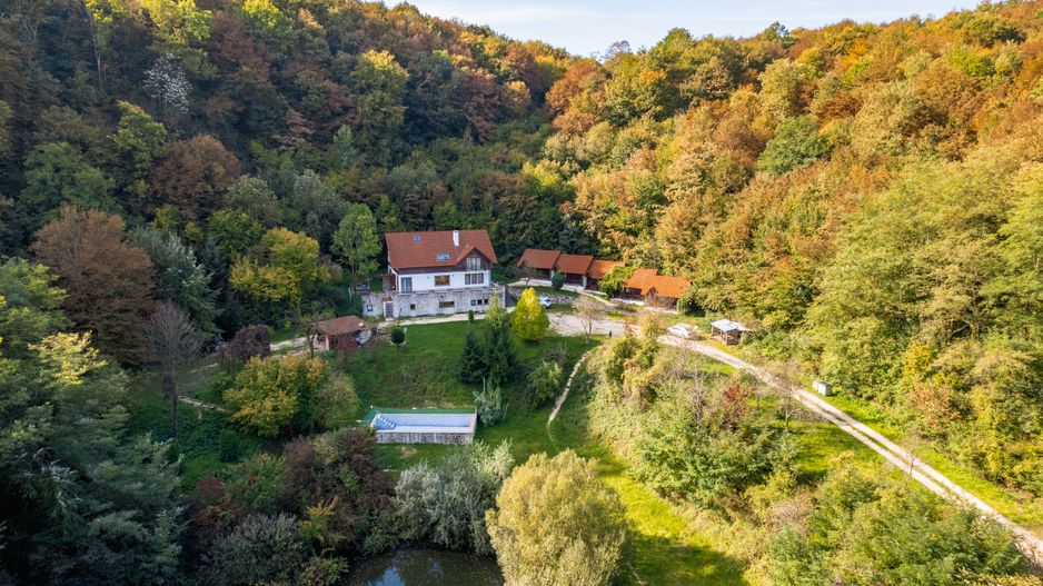 Domeniu în satul Căprioara - Poză 28