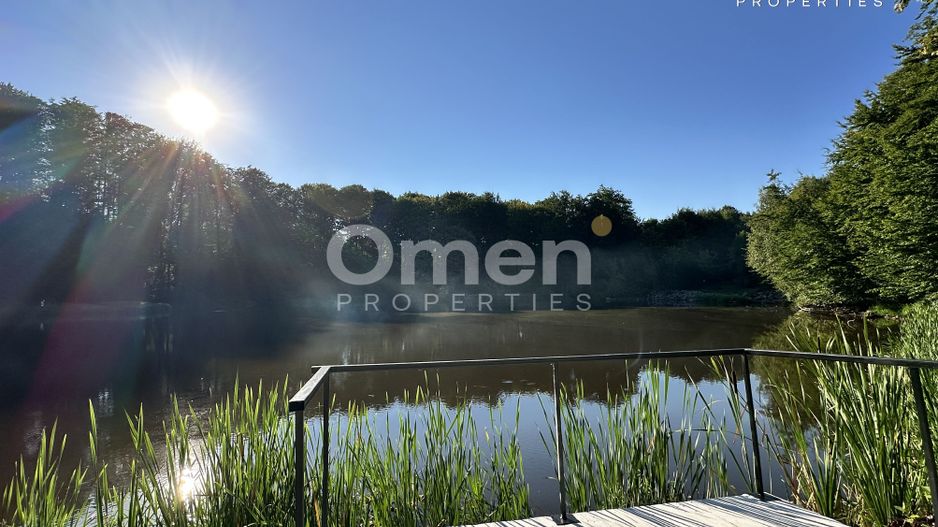 Vila exclusivista langa Domeniu Mogosa (schimb cu apartamente) - Poză 10