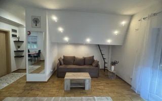 Apartament 1 camera Giroc parter cu balcon - Poză 5