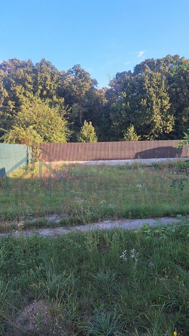 Teren de vânzare lângă pădurea Valea Ursului, Iași - Poză 2