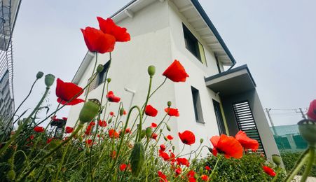 🏡 Casă tip duplex de închiriat | DUMBRAVITA | Confort și Relaxare |