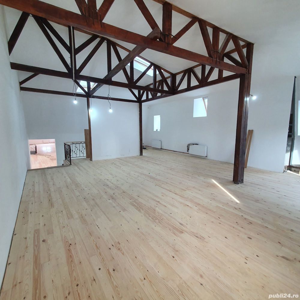 Vila Reprezentativa  8 camere Calea Mosilor - Poză 3