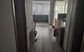 Apartament cu 1 camera in Ansamblul Luceafaru - Poză 2