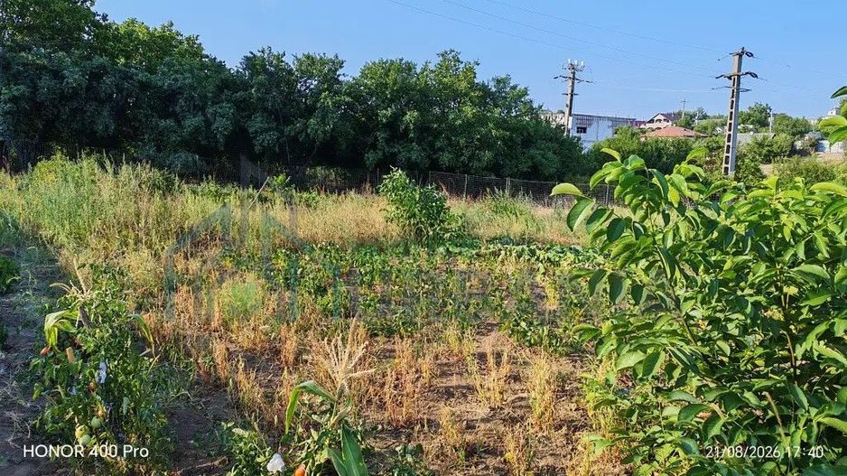 Teren de vânzare în Dealul Viilor, Hârlău – 2.100 mp, gard și pomi fructiferi - Poză 5
